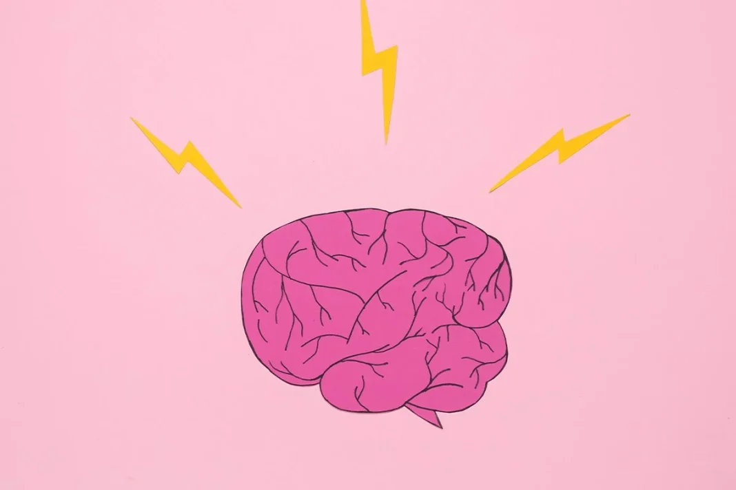 CONEXIÓN ENTRE MANOS Y CEREBRO