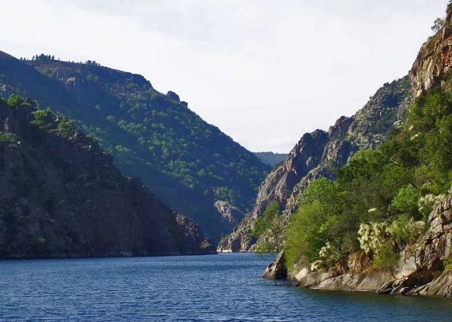 Los Viticultores De La Ribeira Sacra Lo Confirman: «Aquí Las Uvas Maduran Con Vértigo, A 500 Metros Sobre El Río»