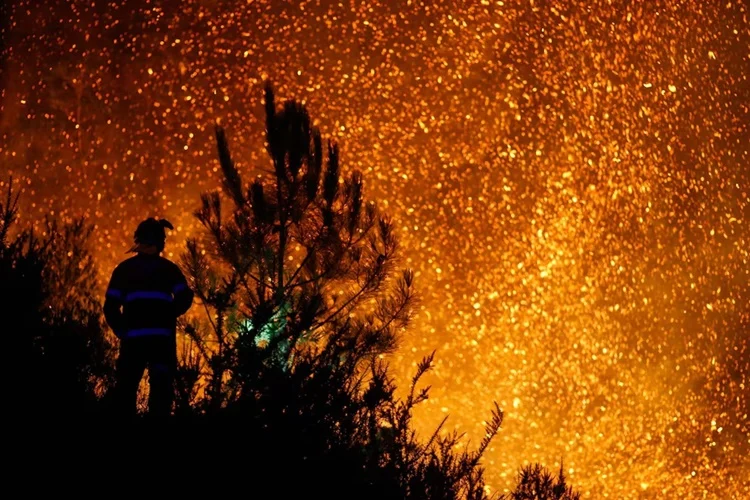 El Coste De Recuperar Lo Arrasado Por El Fuego: &Quot;Los Bosques Tardan Décadas&Quot; 1 El Coste De Recuperar Lo Arrasado Por El Fuego: &Quot;Los Bosques Tardan Décadas&Quot; Fuente: Sxenick