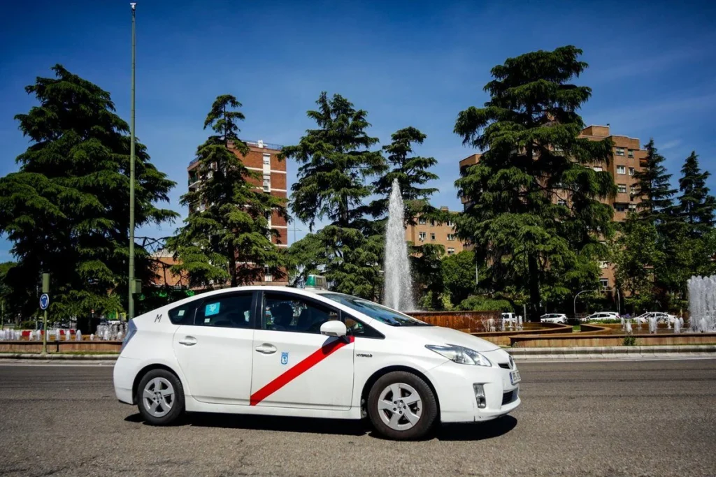 La Licencia Por Puntos Se Aplica Ahora Al Titular Que Sera Responsable Directo De Las Infracciones