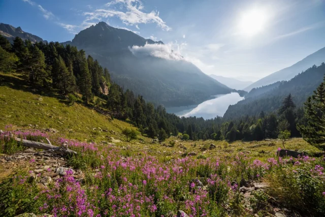 «No Es Un Lago, Es Un Espejo Perfecto»: Un Fotógrafo De Naturaleza Desvela El Secreto Óptico De Aigüestortes Que Solo Ocurre En Los Amaneceres De Otoño